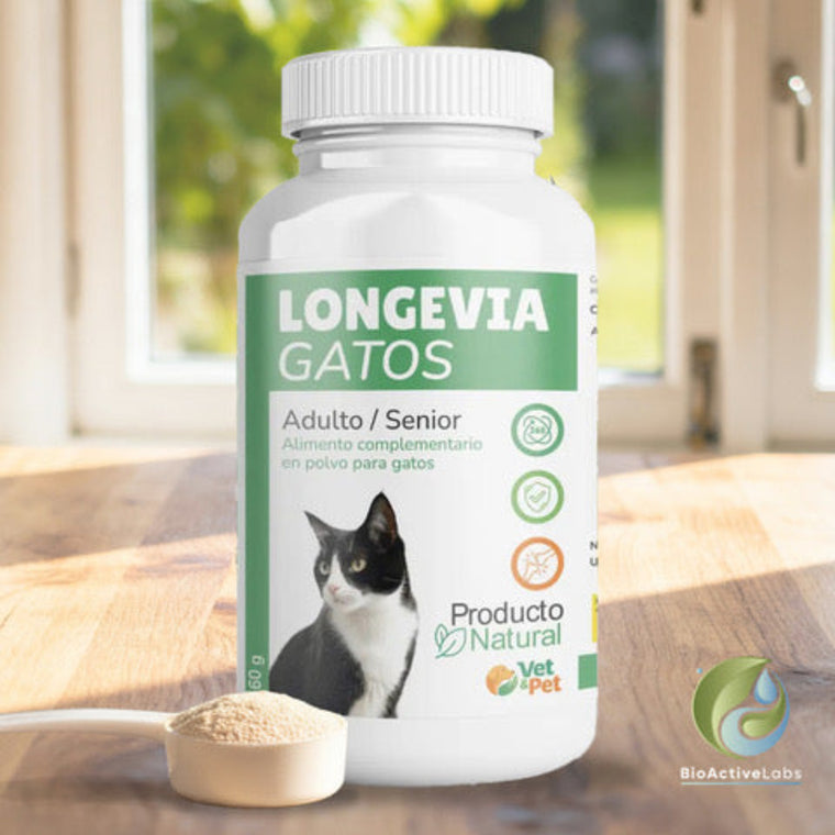 Para gatos senior | Glucosamina, Condroitina, Omega 3 y Taurina | Longevia Gatos 60 g