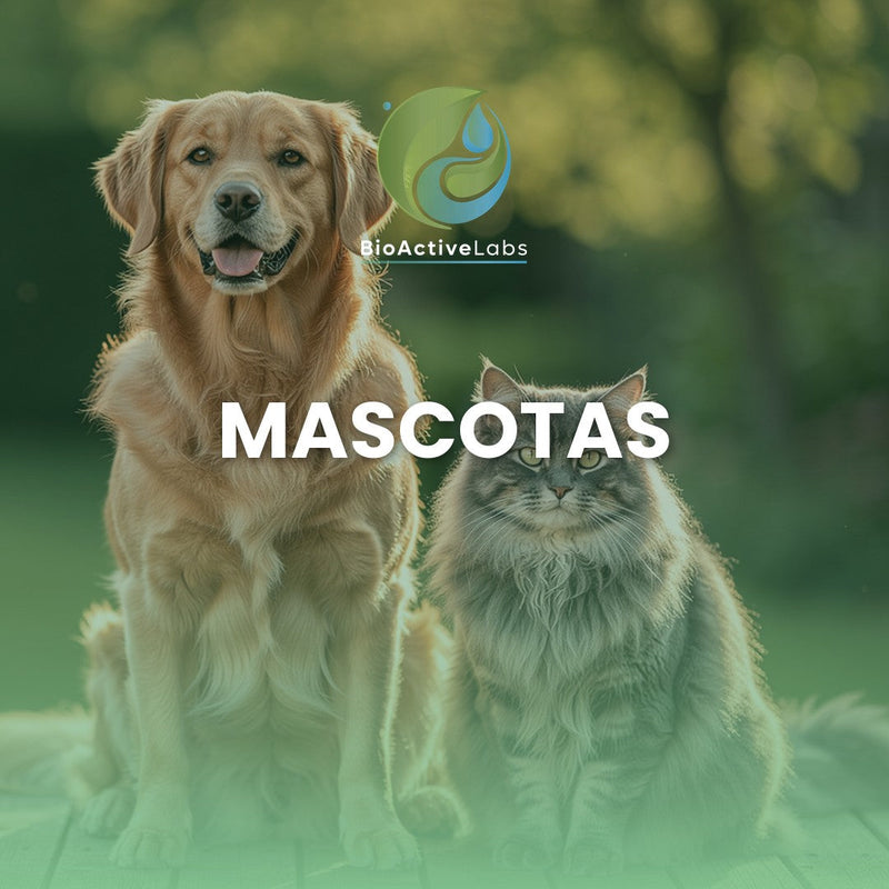 Mascotas