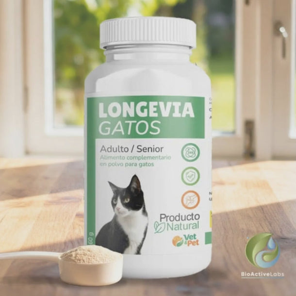 Longevia Gatos - vídeo 30s